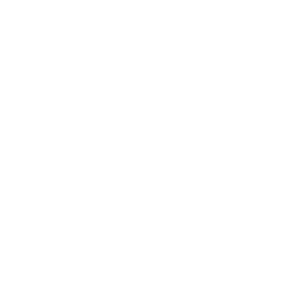 Logo Brooks Sports