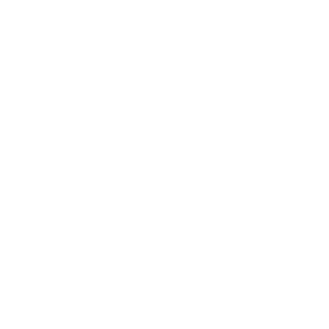 Logo Medice