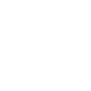 Logo Technische Universität Desden